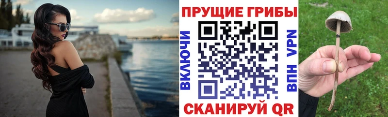 omg tor  цена наркотик  Инсар  Галлюциногенные грибы Psilocybine cubensis 